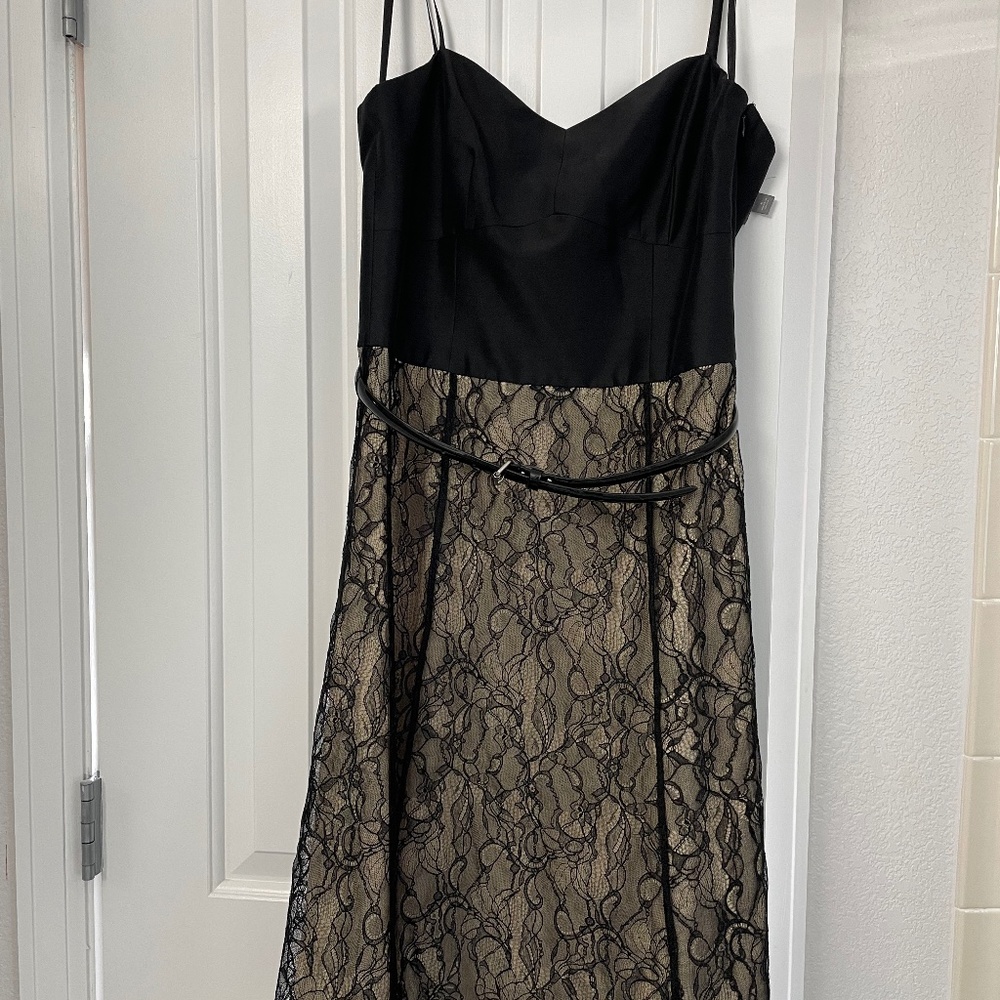 Ann Taylor belted fit and flare dress